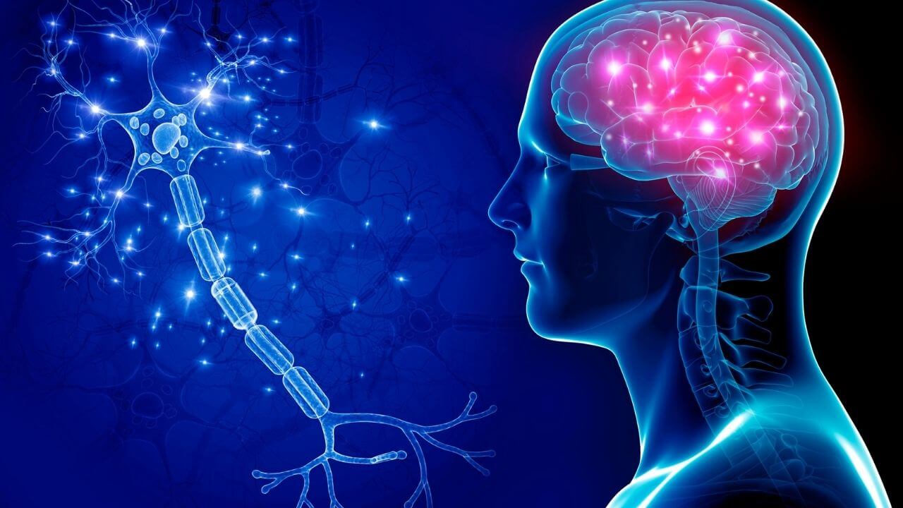 trauma, sex and the brain