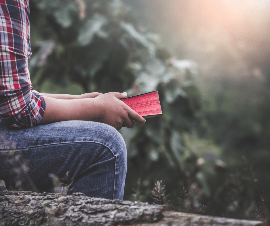 What Does the Bible Say About Sex?