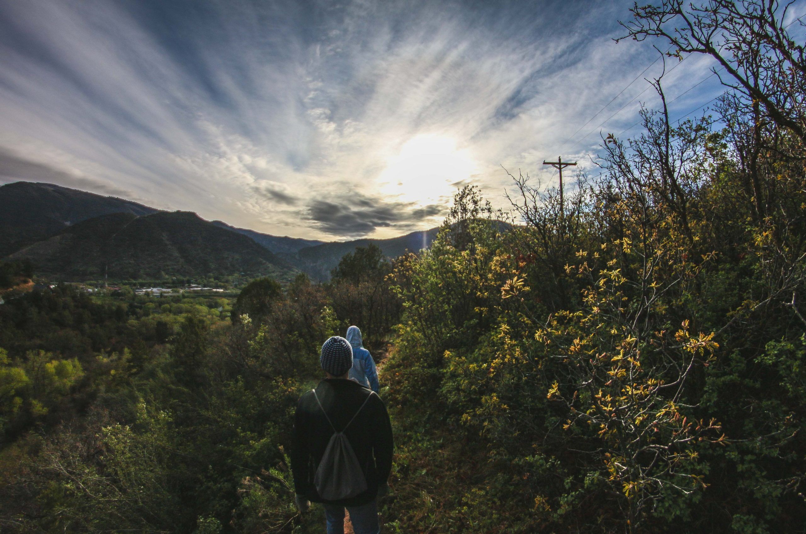 two men walk through a heavily wooded area while the sun is bright overhead