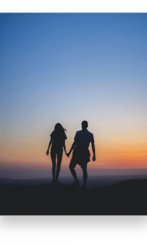 partner supp 2