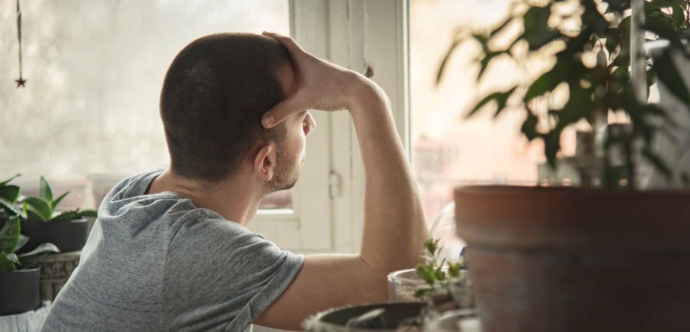 A white man looks out the window, there is a plant at the front of the photo.